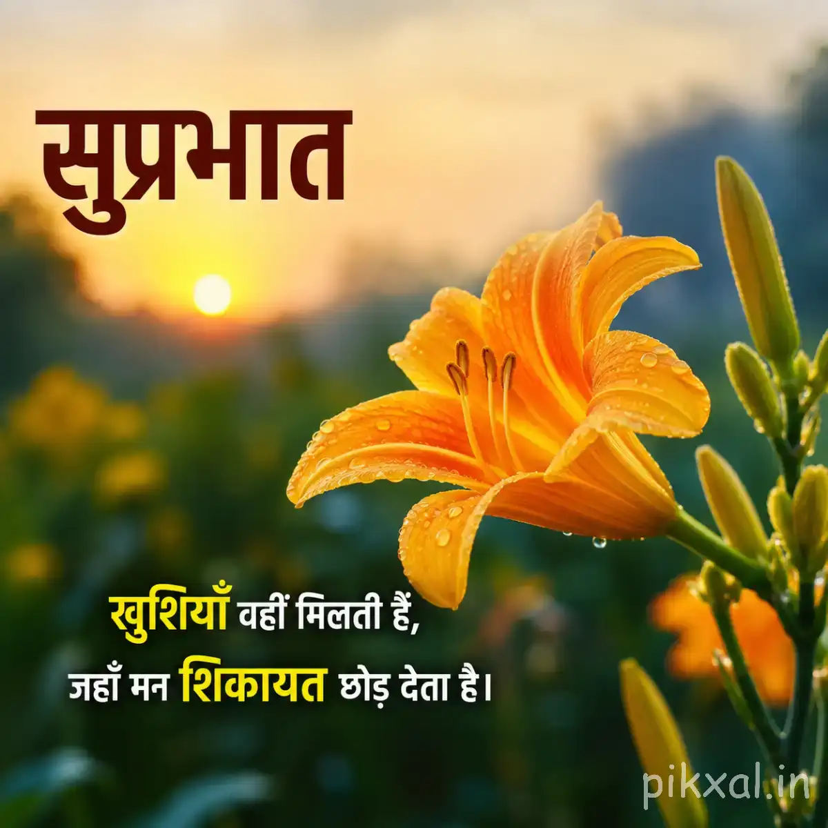 Orange flower with elongated petals and green leaves against warm sunlight with a Hindi Good Morning greeting