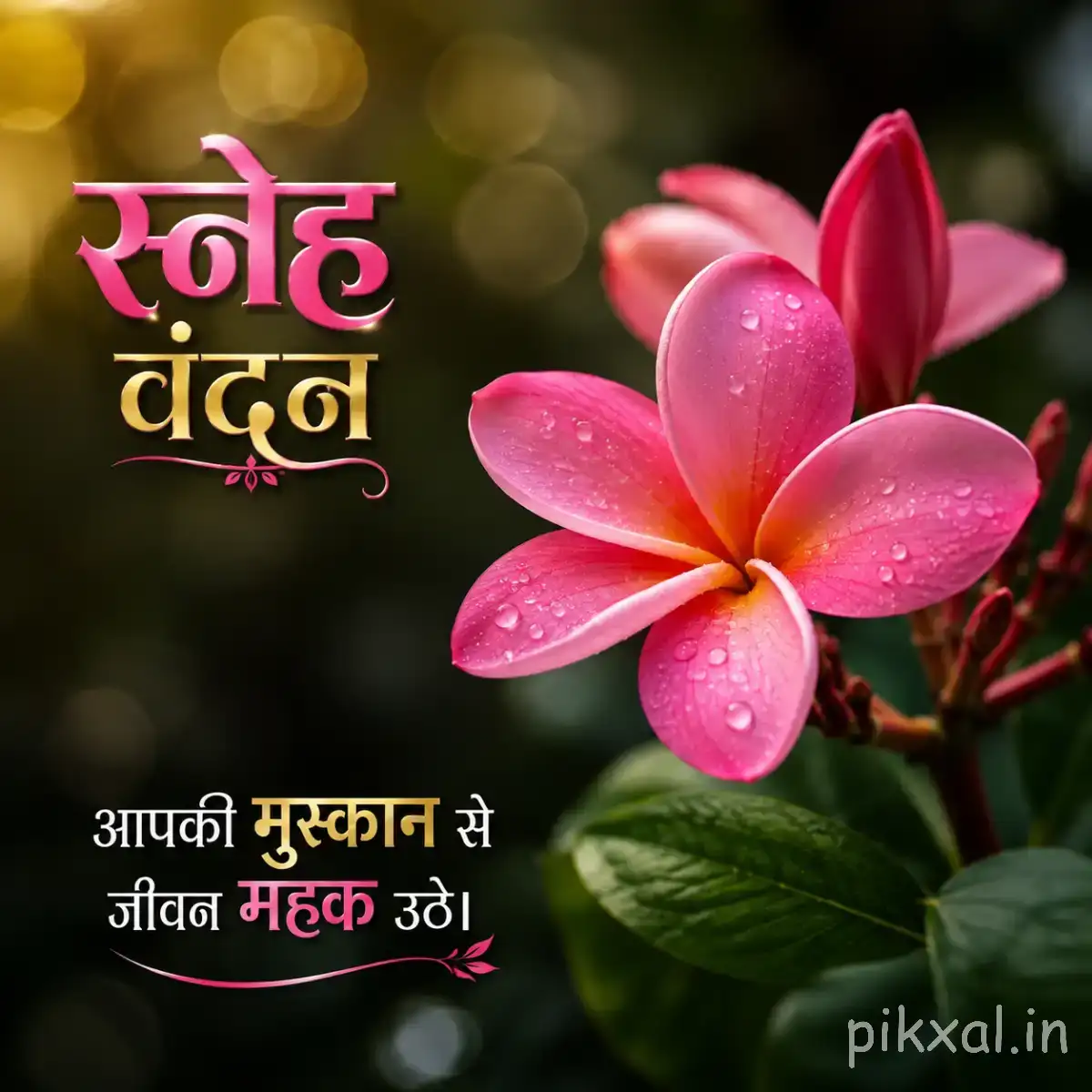 Single pink flower with five broad petals and a darker center surrounded by green leaves