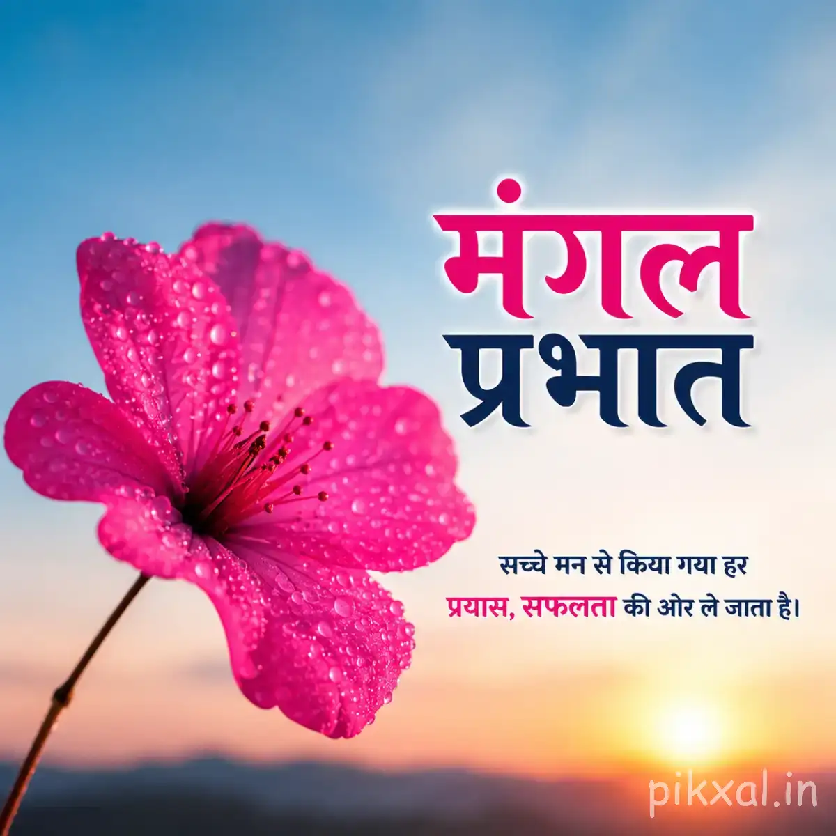 Single bright pink flower with speckled petals and a dark center against a blue sky and warm sunrise