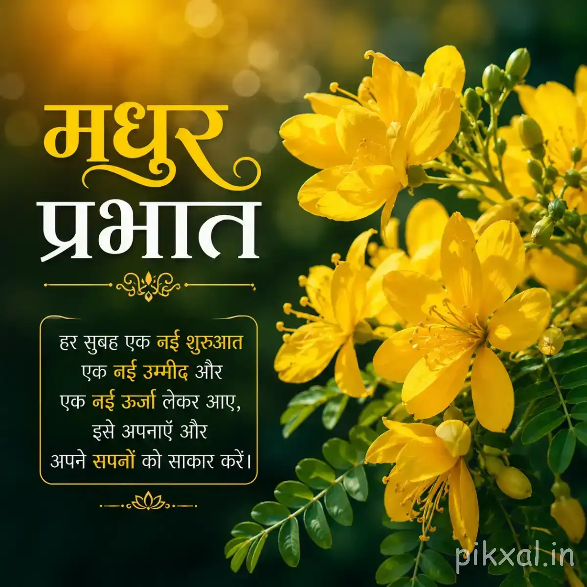 Yellow flowers along leafy green stems against a dark blurred garden background with a Hindi morning greeting