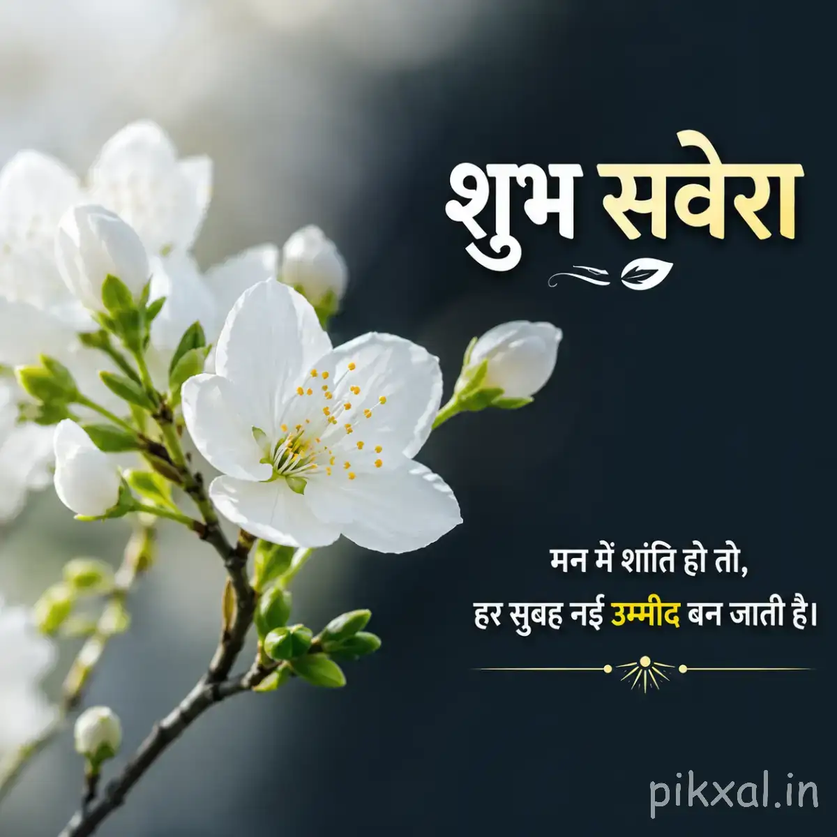 Several white flowers with yellow centers on a leafy branch against a dark background with a Hindi morning greeting