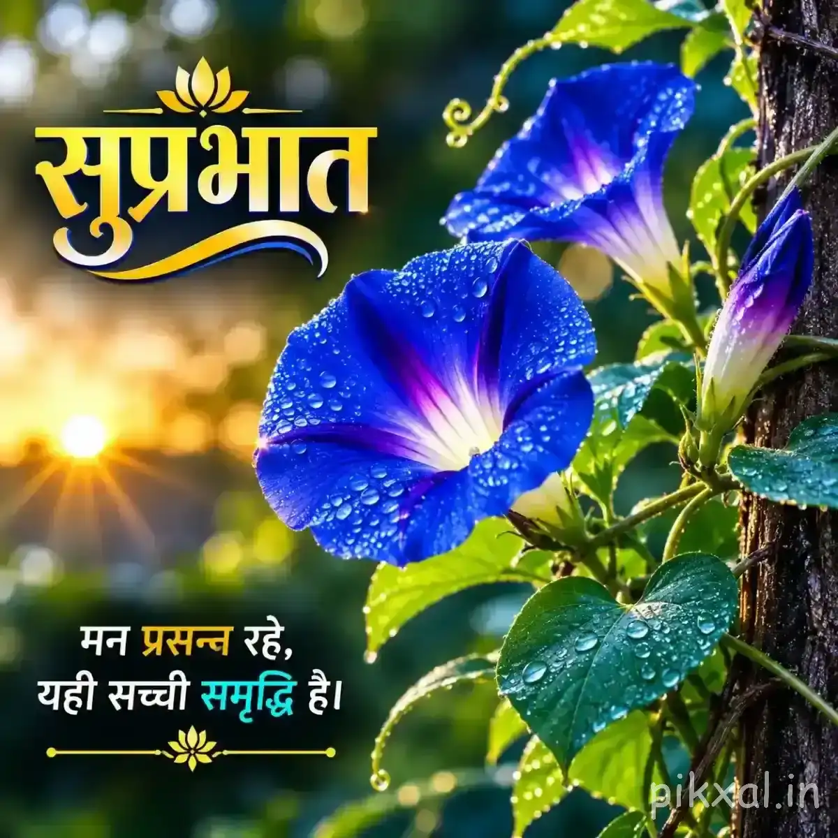 Several vivid blue flowers with dark centers and green leaves against warm blurred greenery with a Hindi Good Morning greeting