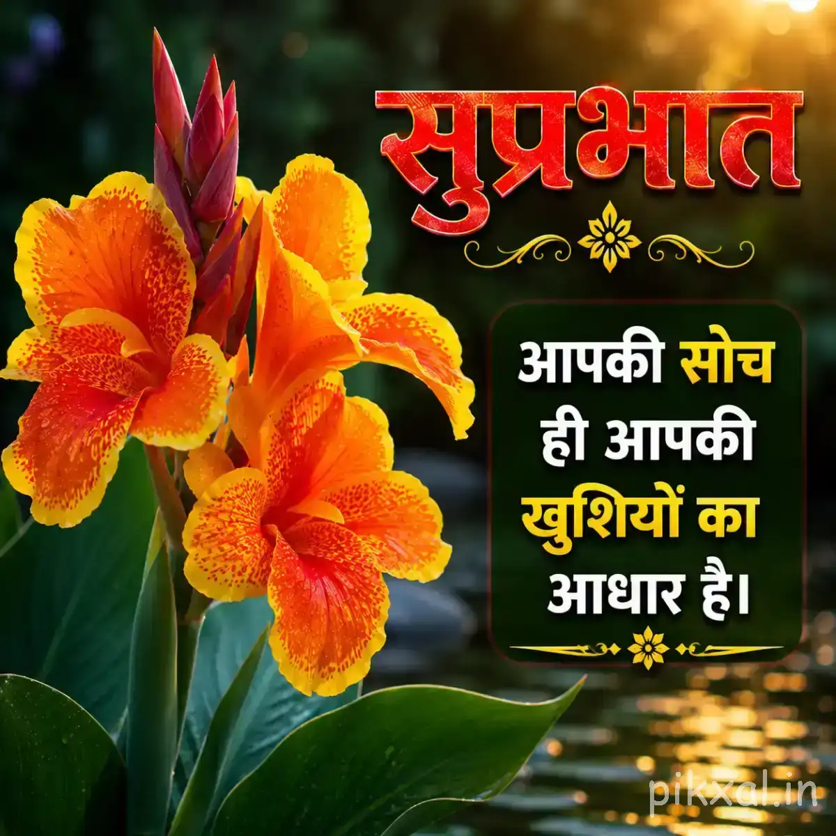Several orange flowers with broad petals and green leaves against a dark background with a Hindi morning message
