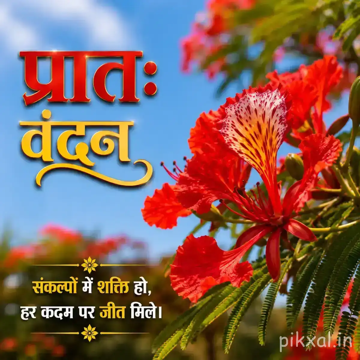 Red flowering branch with elongated petals against blue sky and green foliage, featuring a Hindi morning greeting