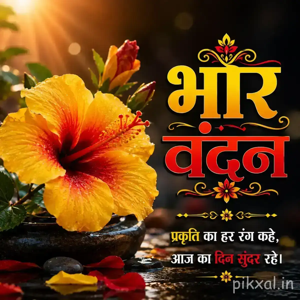 Yellow-orange flower with a dark center and broad petals on a green stem beside a Hindi morning greeting