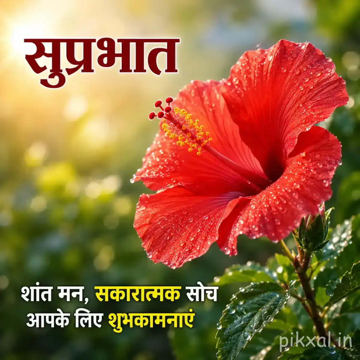 Single red flower with broad open petals, textured edges, and green foliage beneath a Hindi morning greeting
