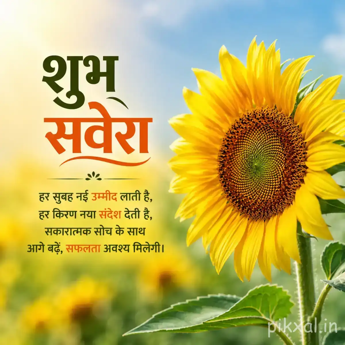 Large yellow flower with a dark center and green leaves beside a Hindi morning greeting