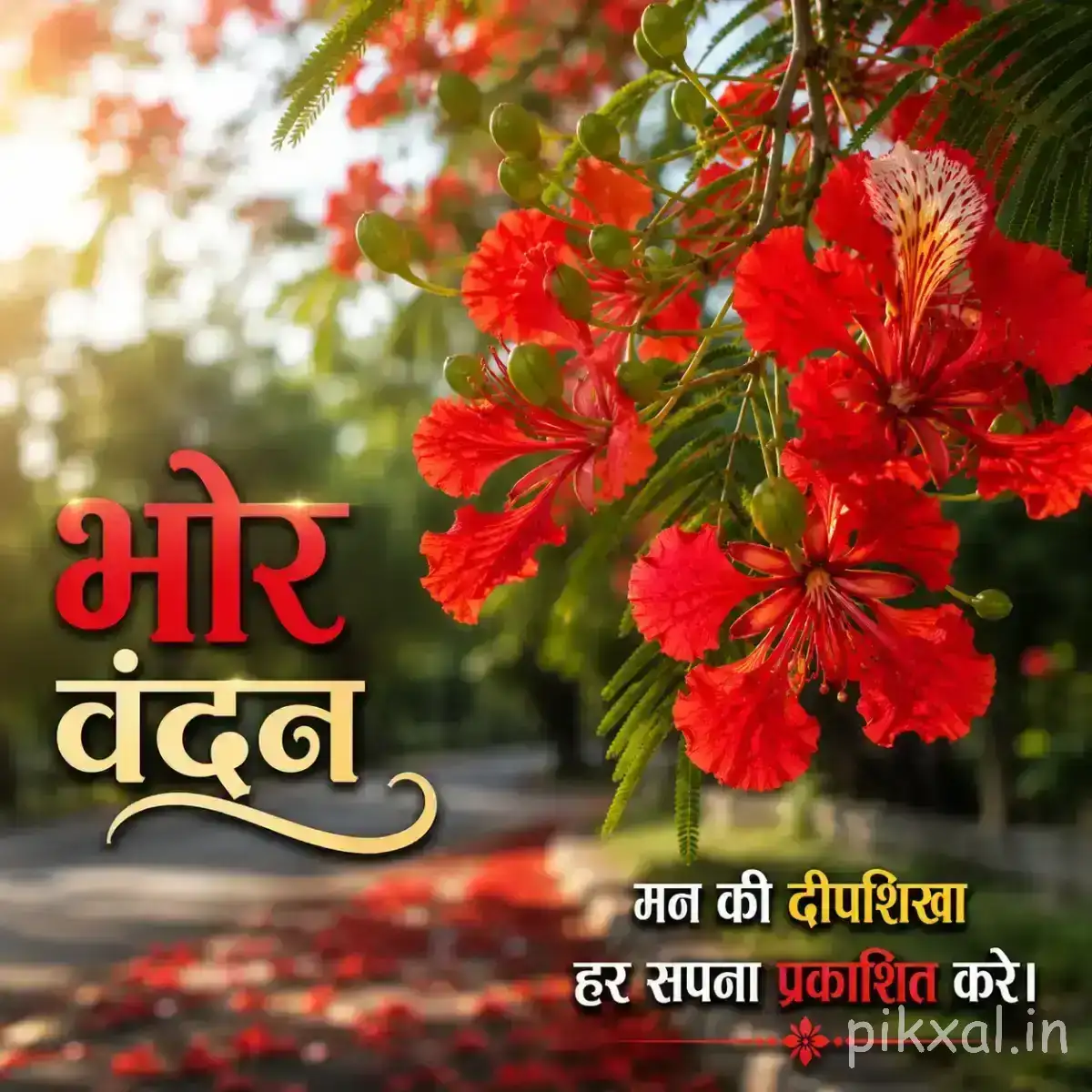 Dense cluster of red flowers with green foliage against a softly blurred garden background and Hindi morning wish