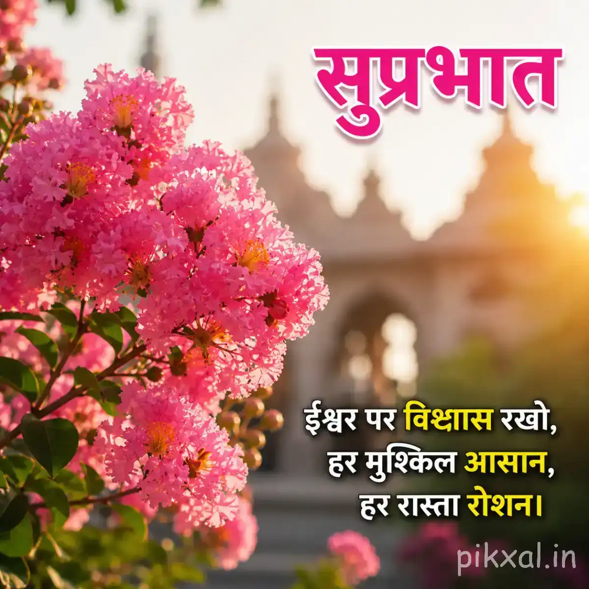 Dense cluster of pink flowers with green foliage against a softly blurred background and Hindi morning greeting