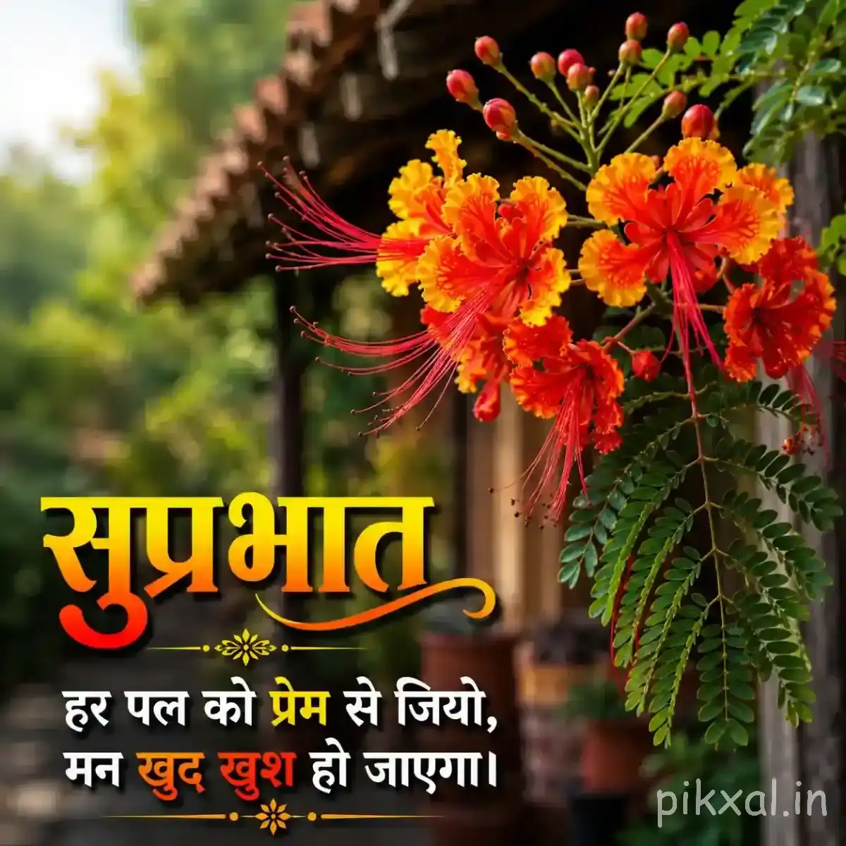 Cluster of orange-red flowers with unopened buds and fern-like green foliage beside a Hindi Good Morning wish