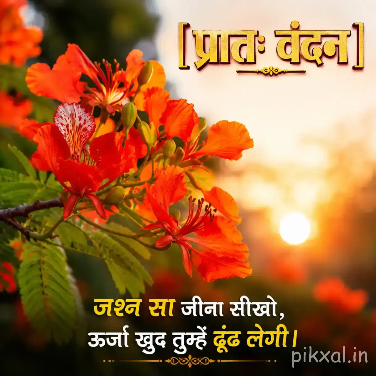 Cluster of bright orange-red flowers against a glowing sunrise with a Hindi morning wish