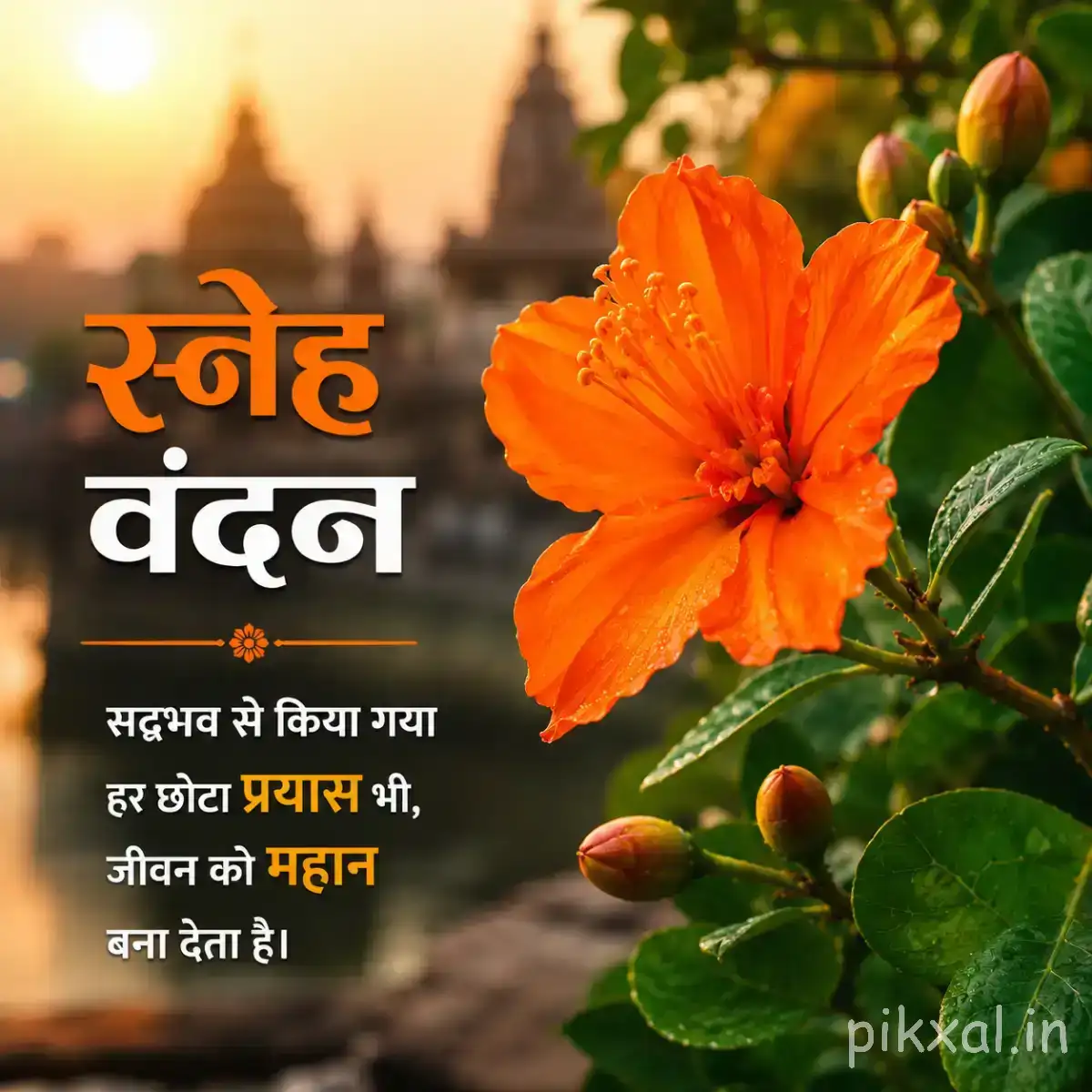 Bright orange flower with ruffled petals, green leaves, and unopened buds against warm golden sunlight with a Hindi morning wish