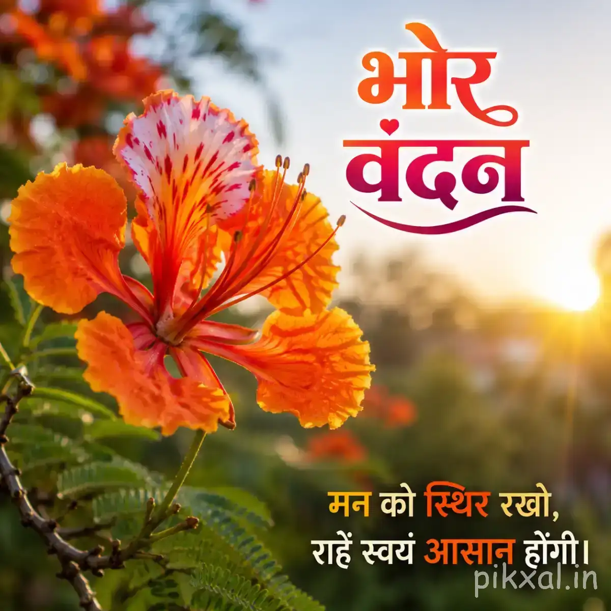 Orange flower with layered petals and dark center among green leaves against a glowing sunrise with a Hindi morning message