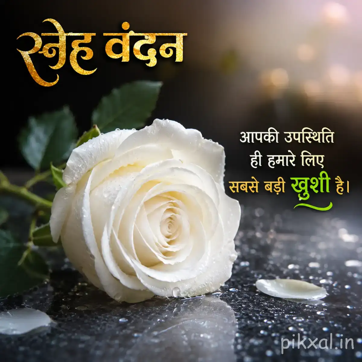 Single white layered flower resting on wet dark rocks with water droplets and a Hindi morning greeting
