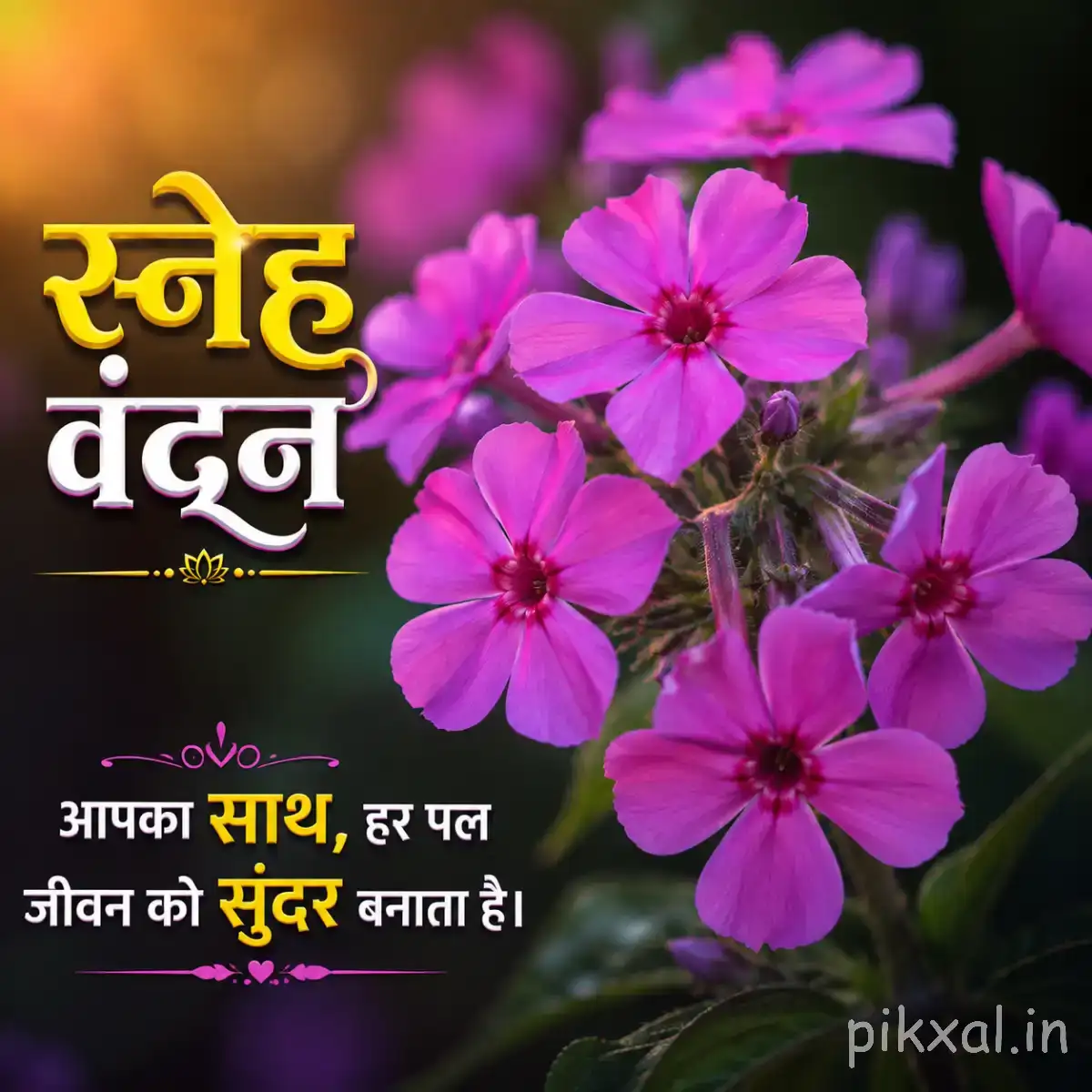 Cluster of purple flowers with five broad petals and dark centers against deep green foliage with a Hindi morning greeting