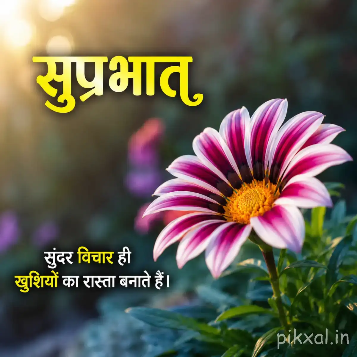 Purple and white striped flower with a yellow center against blurred greenery with a Hindi Good Morning greeting