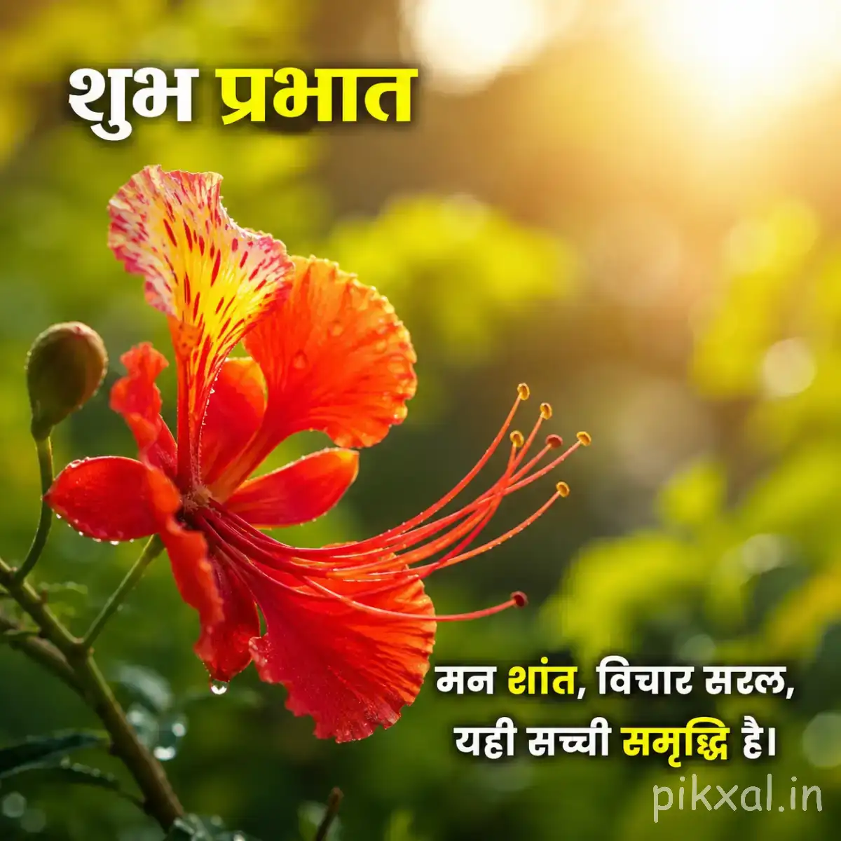 Red-orange flower with long protruding stamens and unopened buds against bright green foliage with a Hindi morning wish