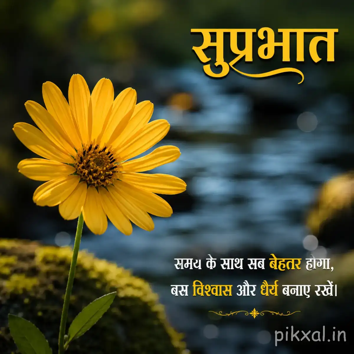 Single yellow flower with a dark center beside rippling water and a Hindi Good Morning greeting