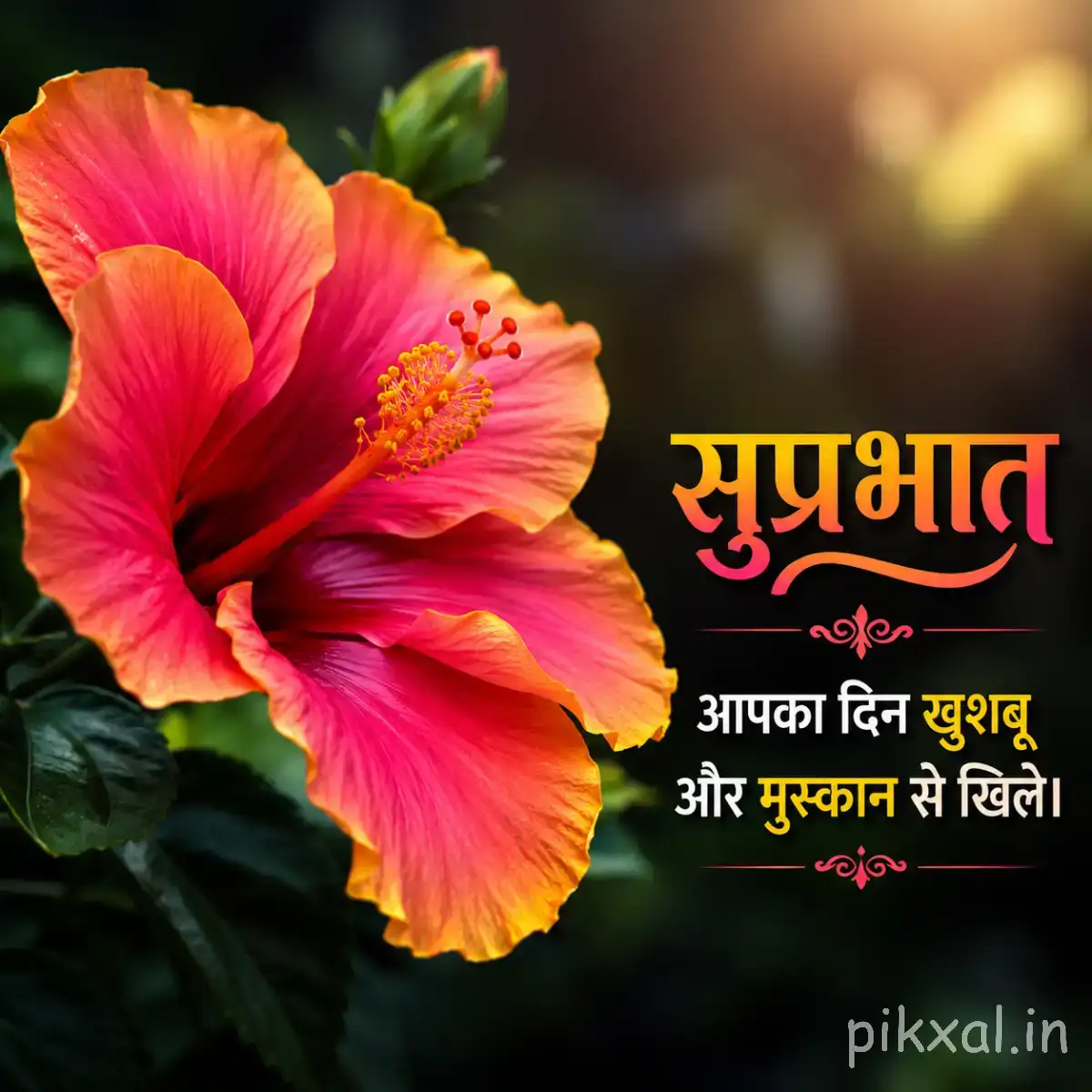 Large pink and orange flower with broad overlapping petals and green leaves against warm blurred foliage with a Hindi Good Morning message