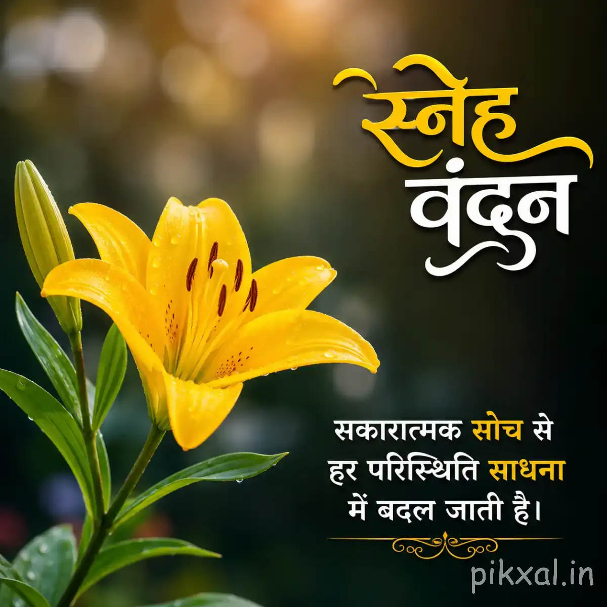 Yellow flower with elongated petals and green leaves against warm blurred greenery with a Hindi morning greeting