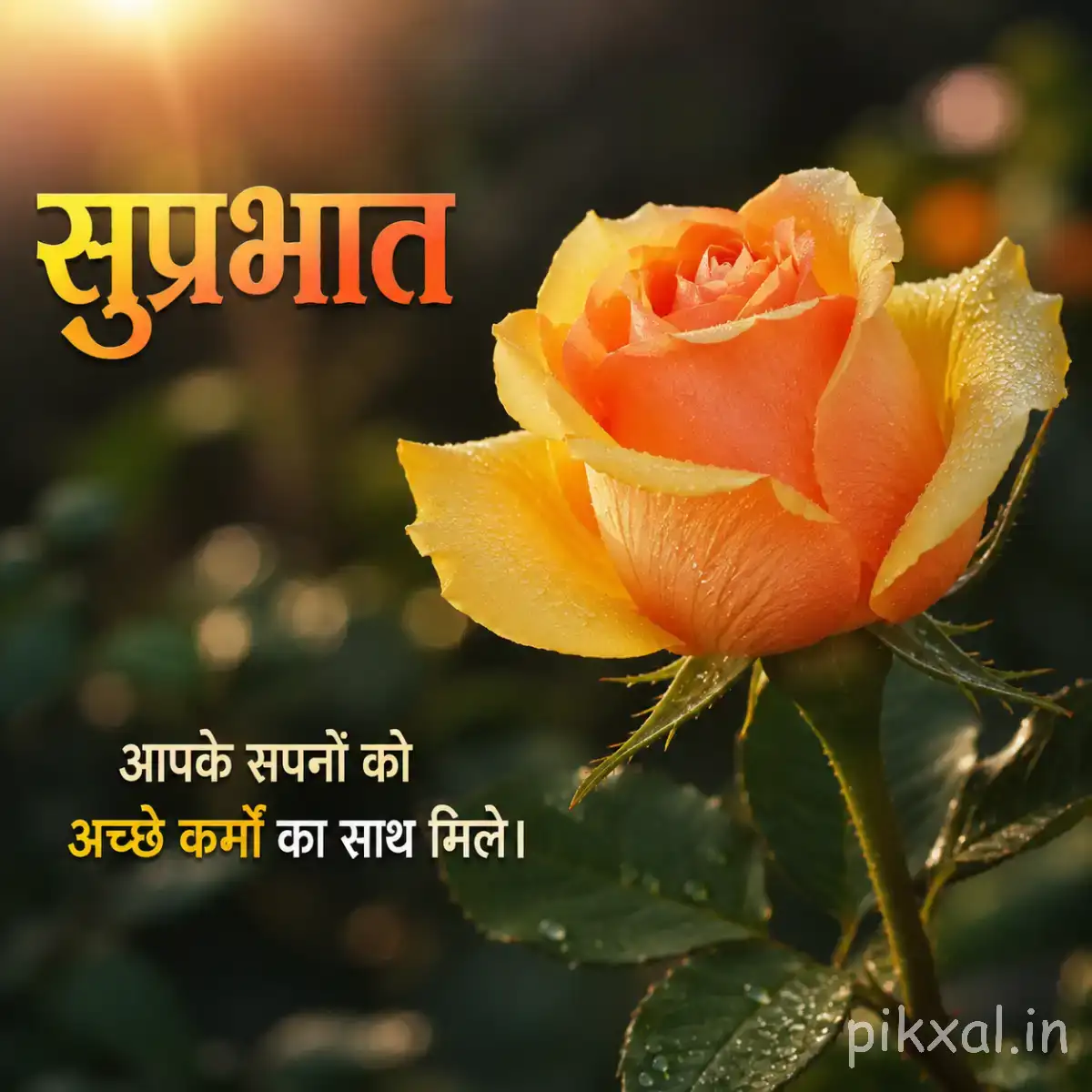 Peach-orange layered flower with green leaves against warm golden bokeh with a Hindi Good Morning greeting
