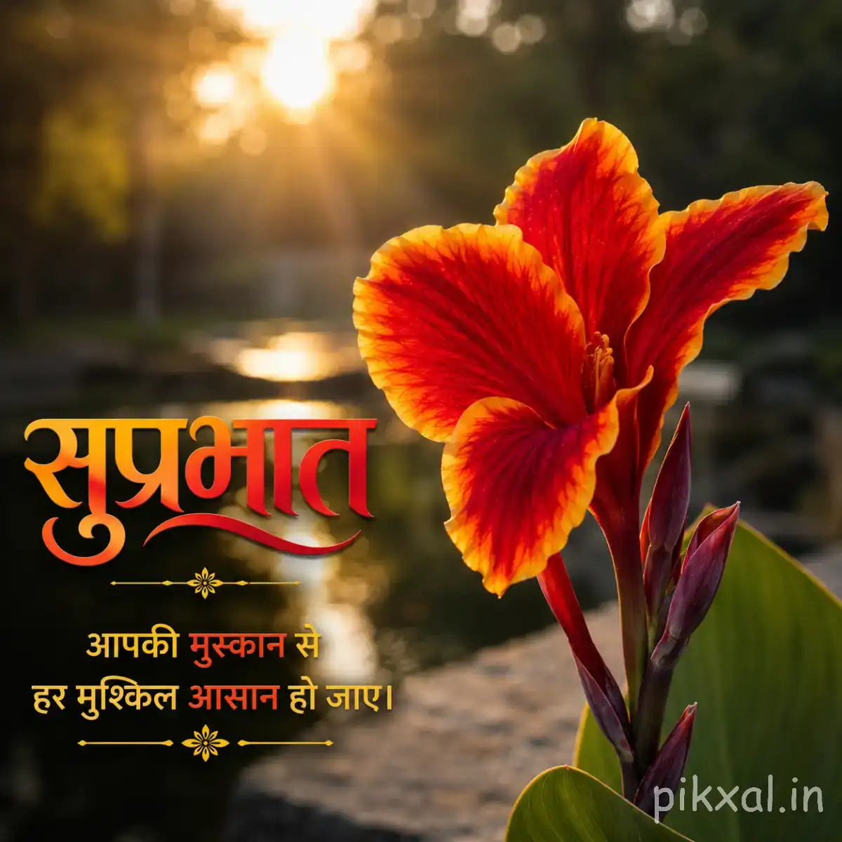 Two orange-red flowers with ruffled petals and upright stems against a warm sunrise background