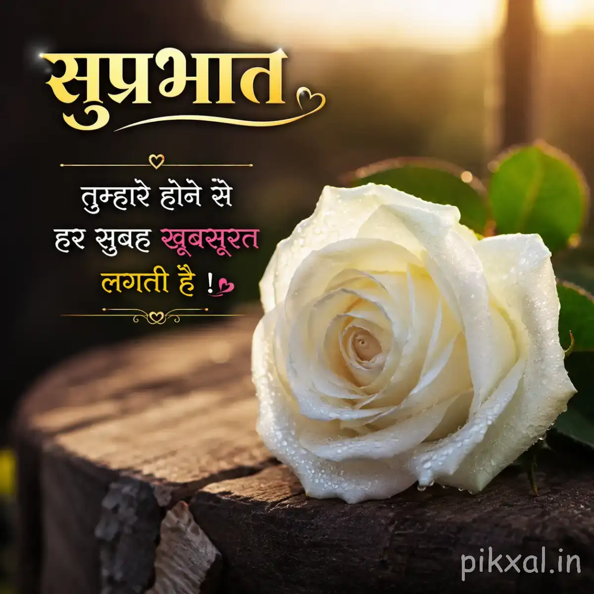 White layered flower resting on a tree stump with green leaves and a Hindi Good Morning wish