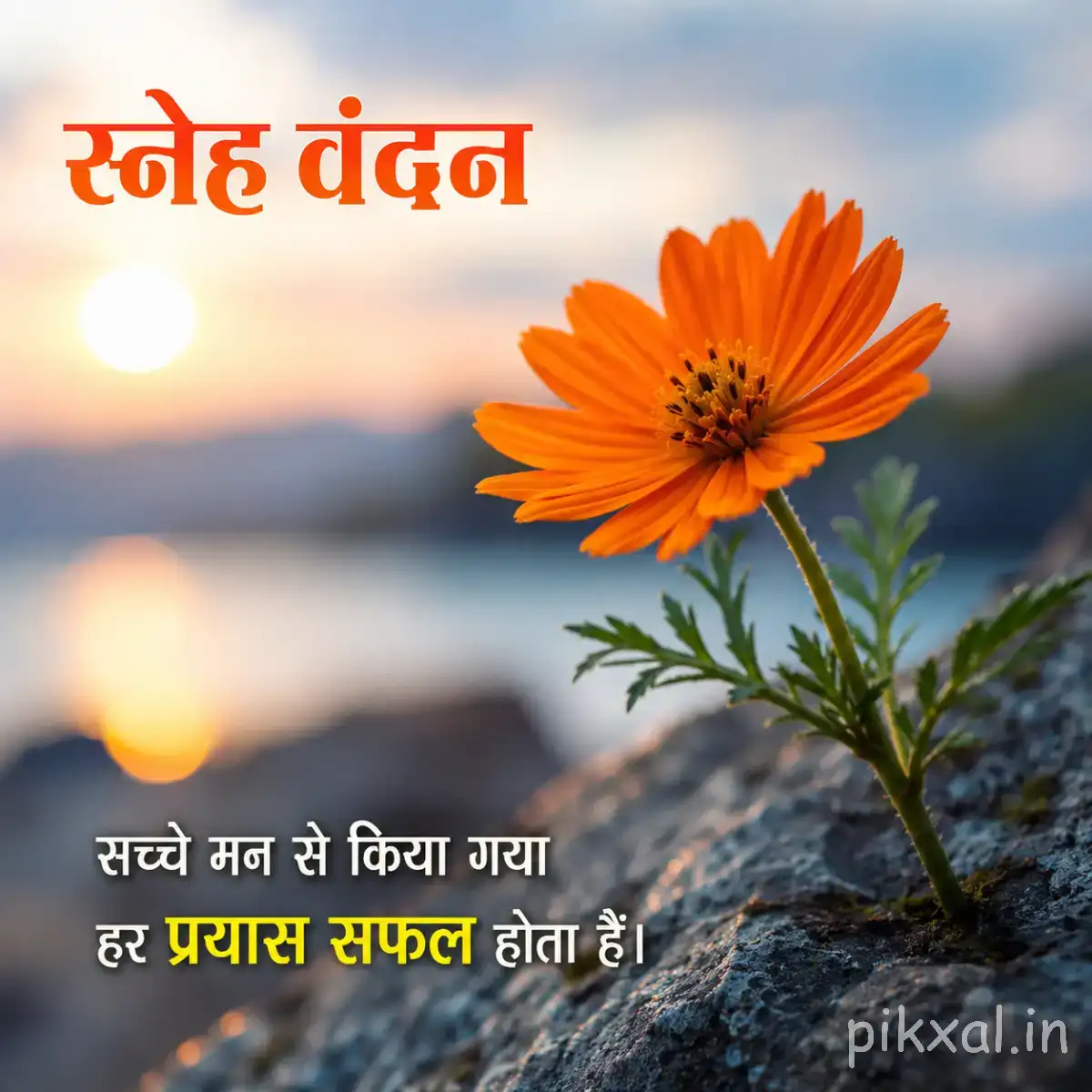 Single orange flower with narrow petals on a slender leafy stem against a softly blurred landscape