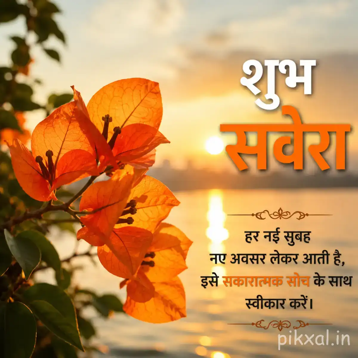 Several orange flowers with thin petals and dark centers on leafy stems with a Hindi morning wish