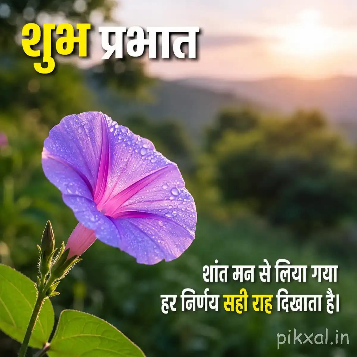 Purple trumpet-shaped flower on a slender stem with green leaves against a blurred mountain landscape