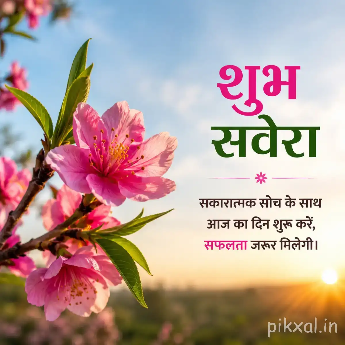 Pink flowers on a flowering branch with green leaves and a Hindi morning wish
