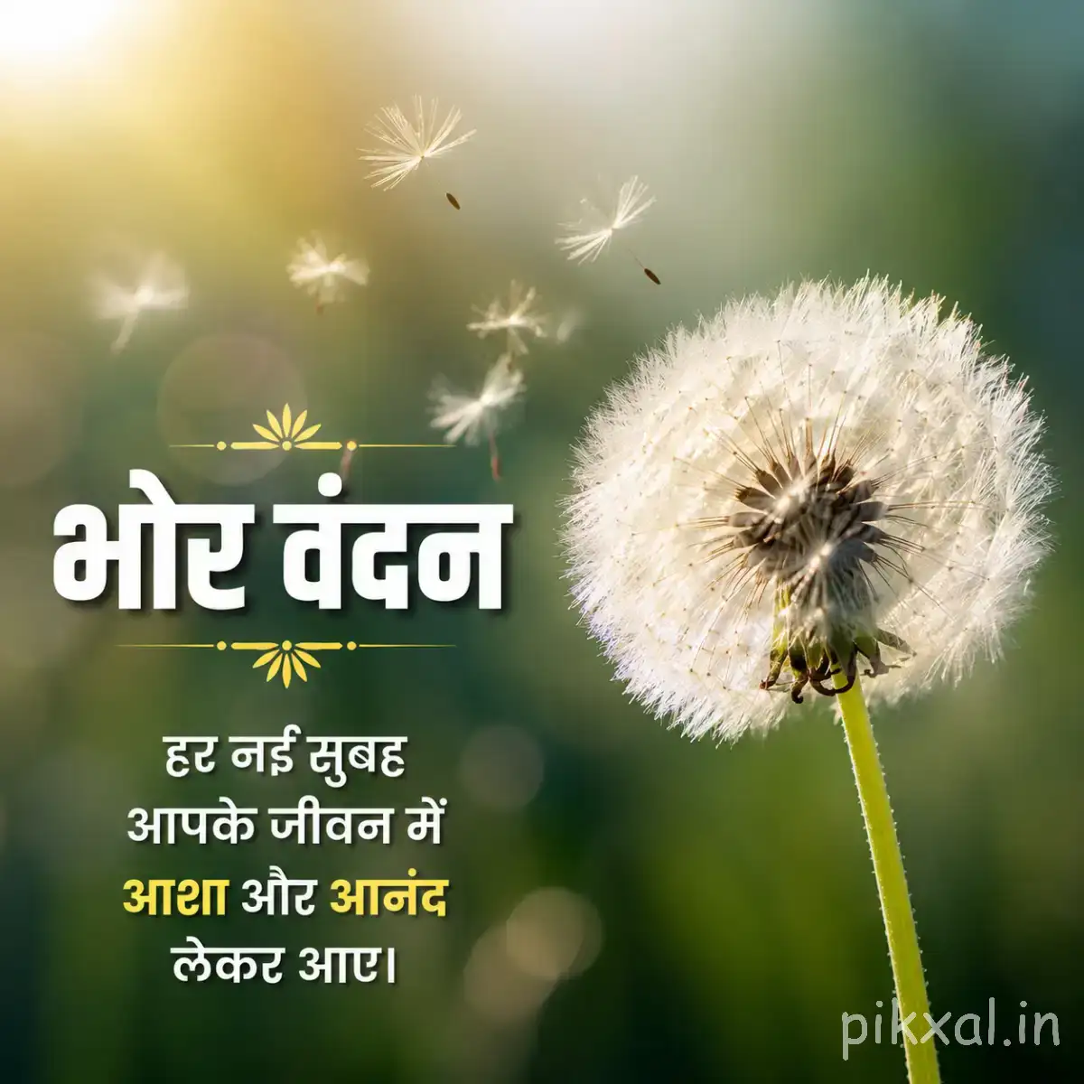 White spherical seed head on a slender stem against softly blurred green foliage with a Hindi morning wish