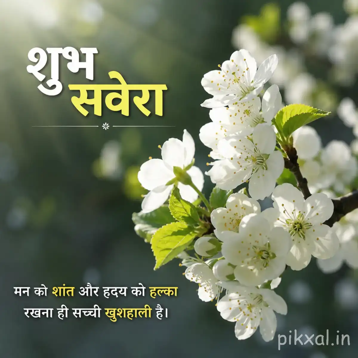 Cluster of small white flowers on a leafy branch with a Hindi Good Morning greeting