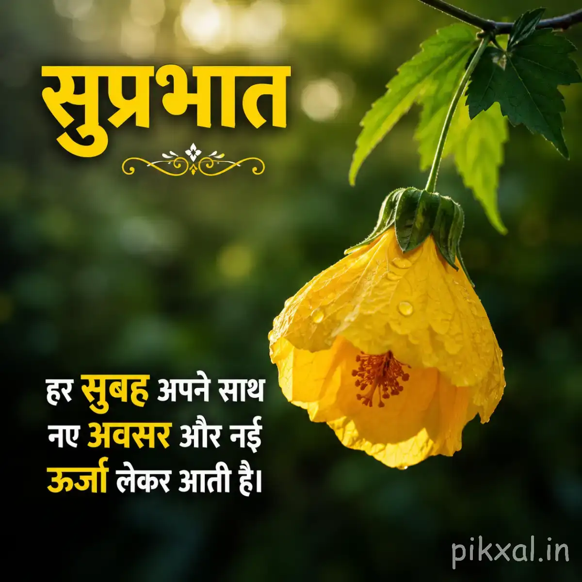 Single yellow hanging bell-shaped flower with green leaves and a Hindi Good Morning message