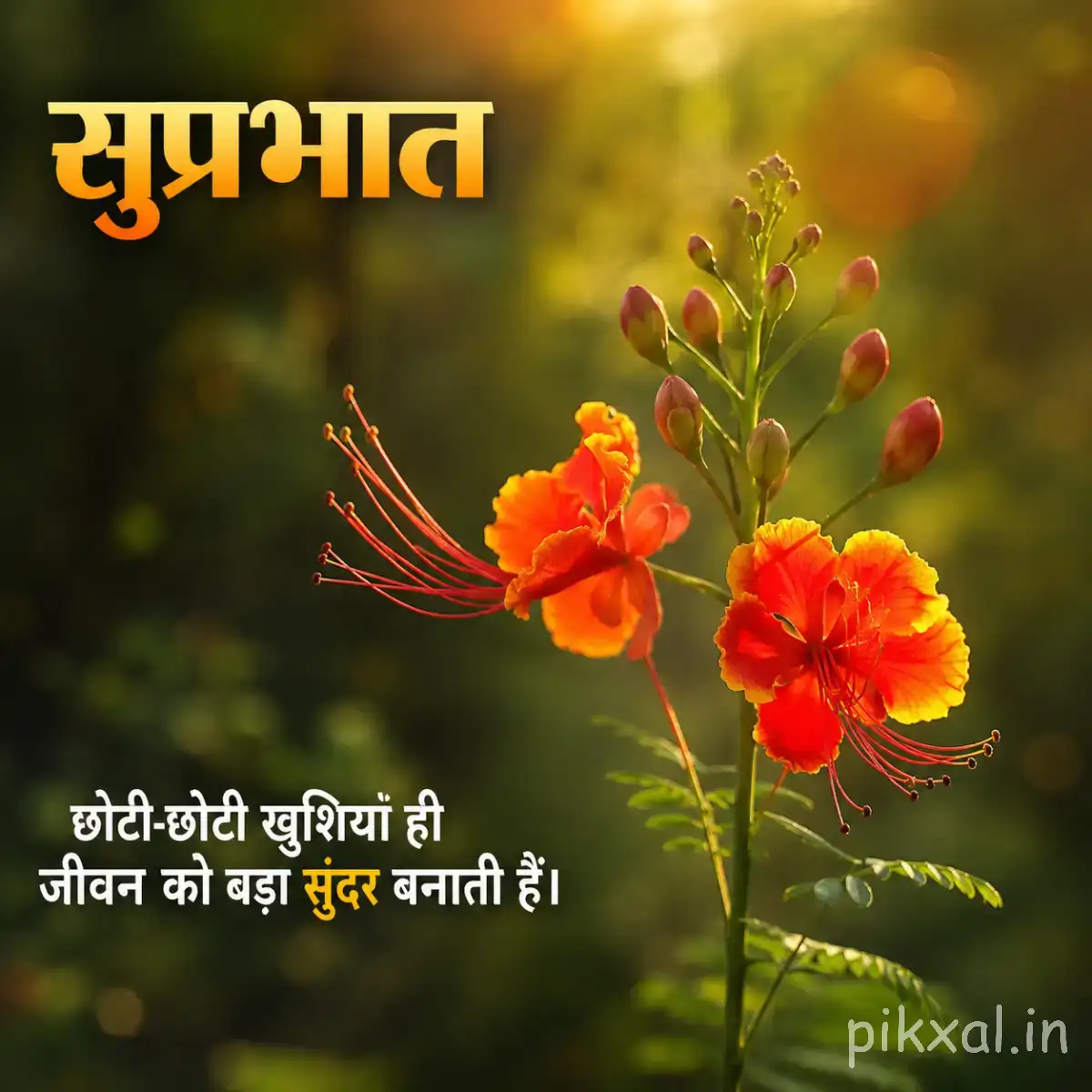 Orange-red flowers in a loose cluster with unopened buds and fine green stems