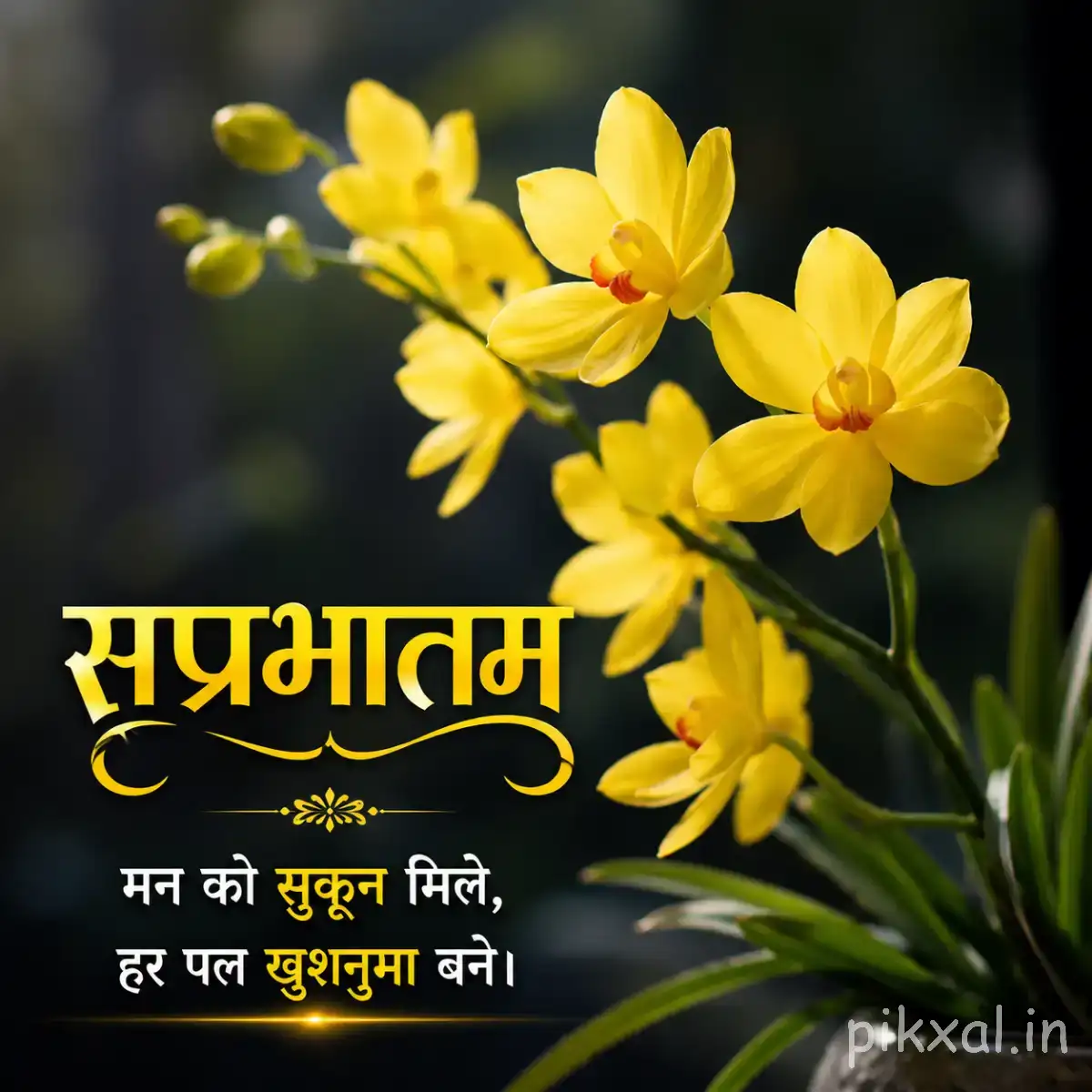Several small yellow flowers with green stems and buds beside a Hindi Good Morning greeting