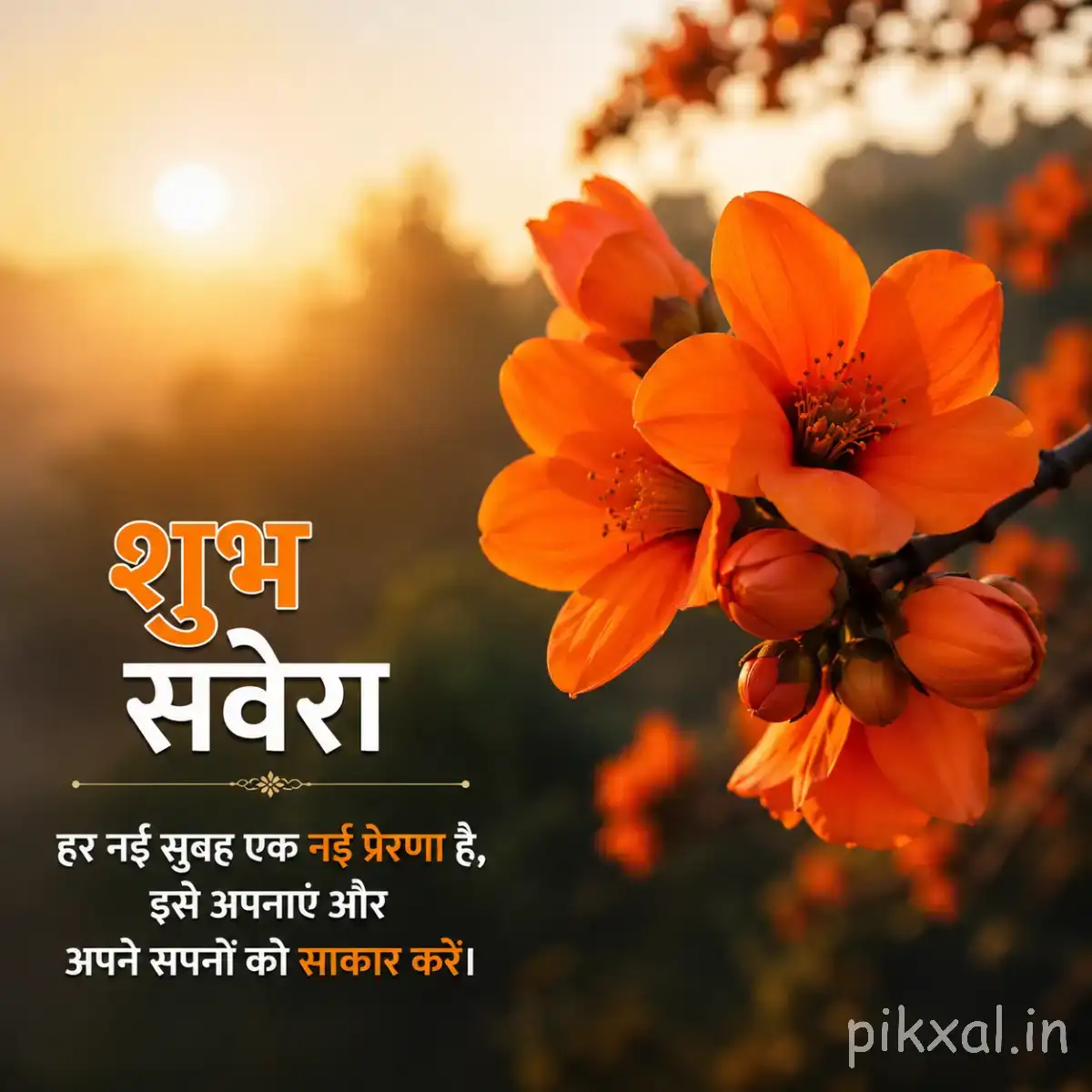 Cluster of orange flowers with layered petals against a warm sunrise background and a Hindi morning message