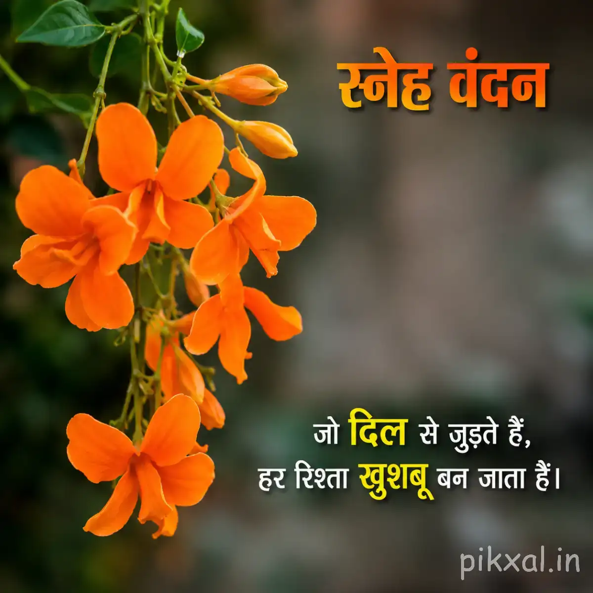 Orange flowers hanging from a leafy branch with unopened buds and a Hindi morning wish