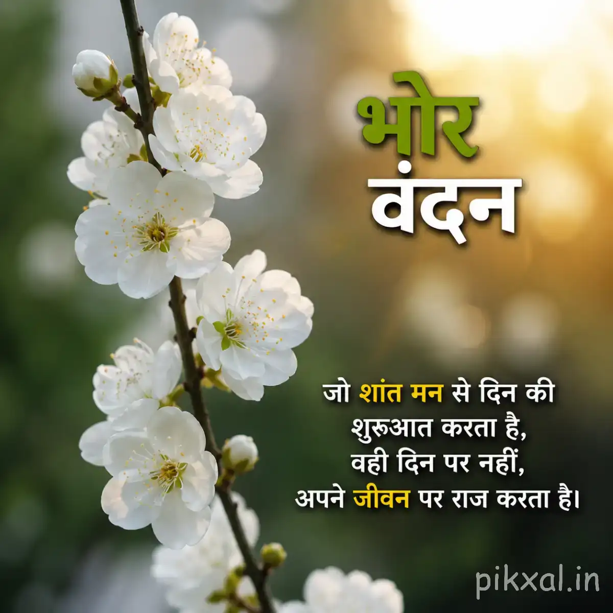Cluster of small white flowers along a slender branch with green leaves and a Hindi morning wish