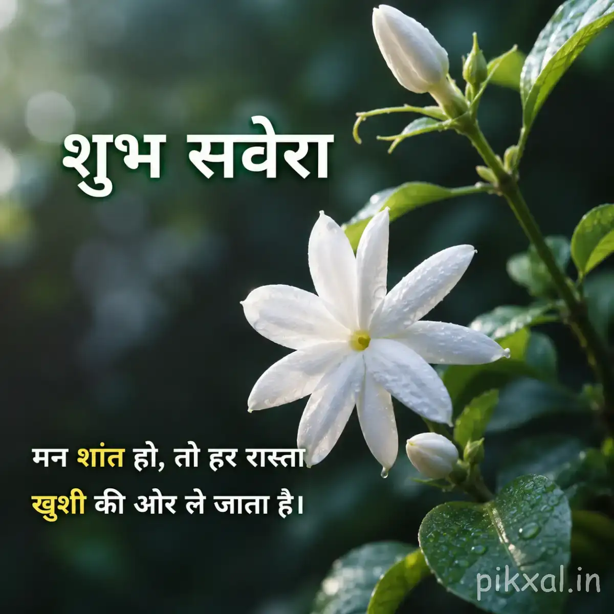Single white star-shaped flower with narrow petals and green leaves against a softly blurred background