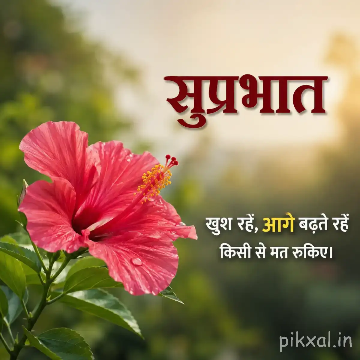 Single large pink-red flower with broad ruffled petals and green leaves beside a Hindi Good Morning greeting