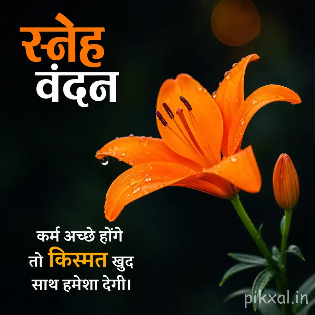Orange trumpet-shaped flower with an unopened bud and dark green leaves beside a Hindi morning wish