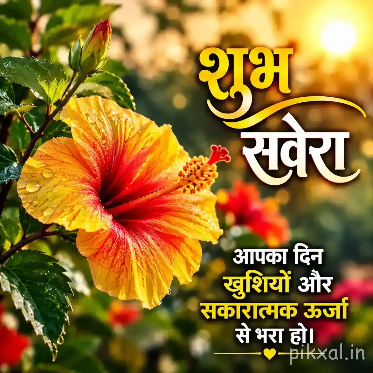 Large orange-yellow flower with ruffled petals and red center surrounded by green leaves and a Hindi morning greeting