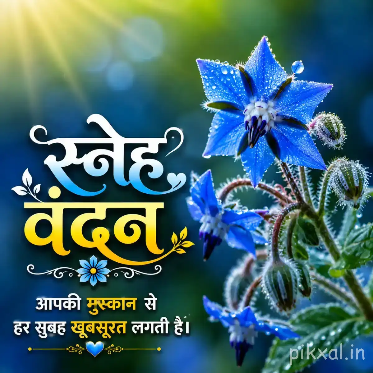 Blue star-shaped flowers with fuzzy stems and green foliage beside a Hindi Good Morning greeting