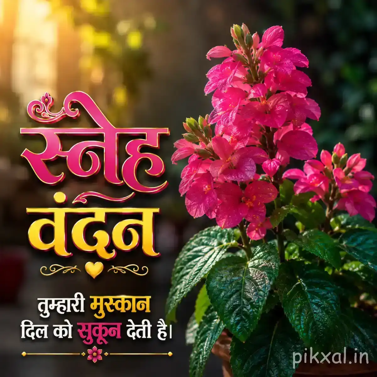 Cluster of bright pink flowers with layered petals and glossy green leaves beside a Hindi morning greeting