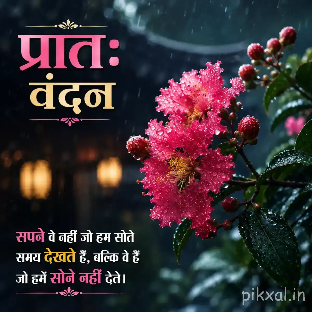 Pink flowering branch with small clustered blossoms against a dark blue background with warm hanging lights