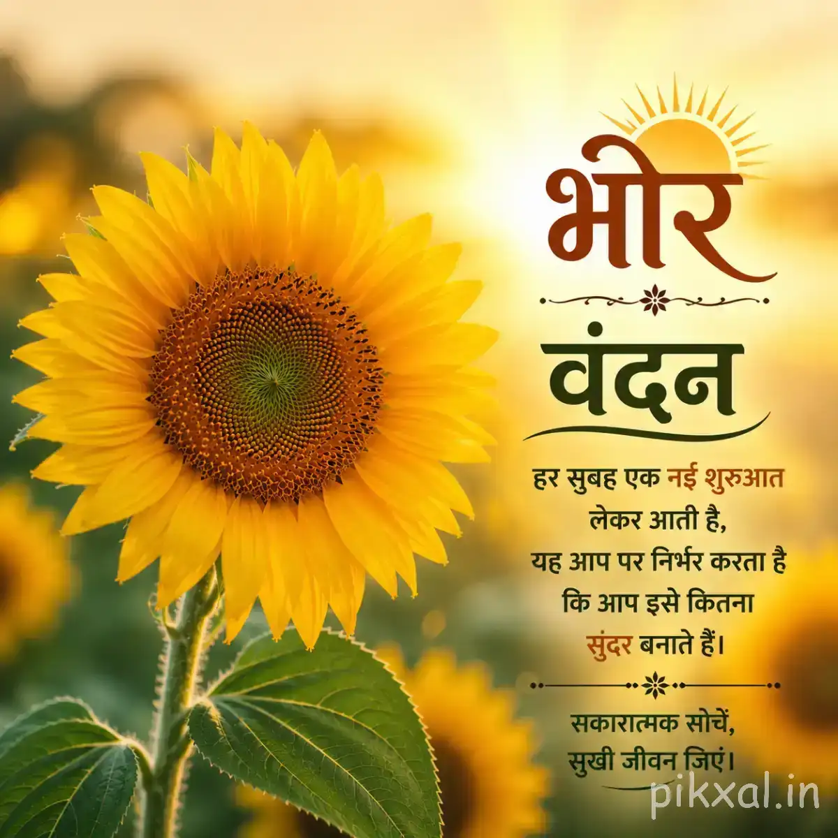 Large yellow flower with a dark textured center and broad green leaves against a warm blurred background