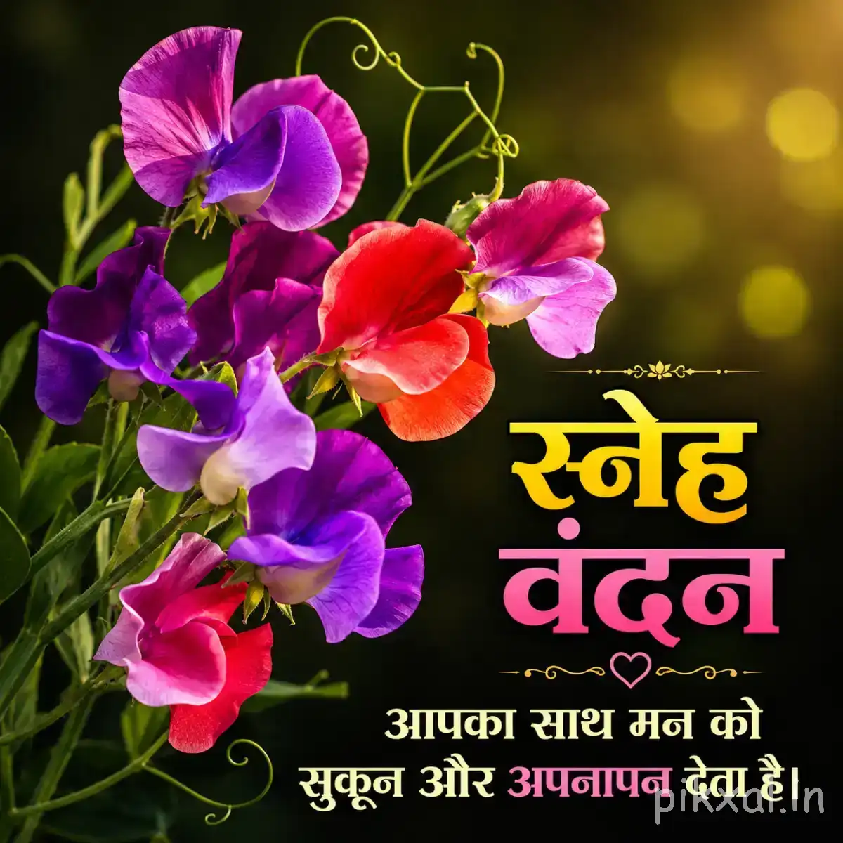 Purple and pink flowers with curved stems and overlapping petals surrounded by green foliage