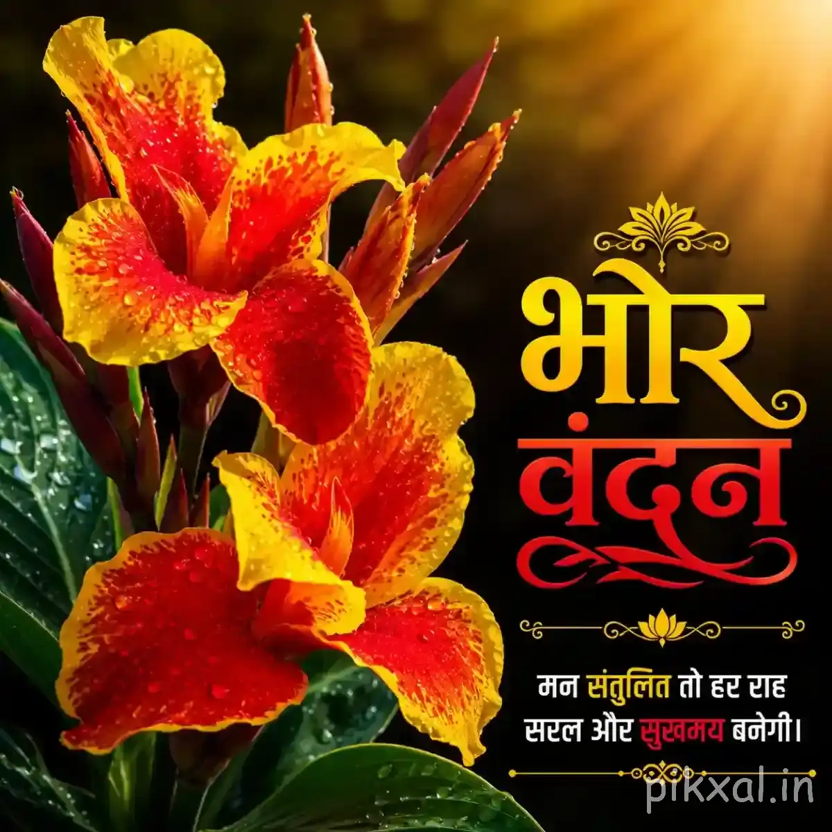 Orange and yellow flowers with ruffled petals and unopened buds against green leaves with a Hindi morning wish