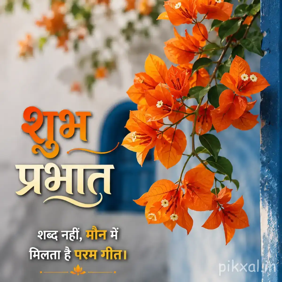 Several orange flowers with rounded petals and green leaves beside a softly blurred garden background